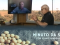 Tempo  & Dinheiro - Minuto da Soja, com Vlamir Brandalizze