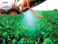 Agroquimicos destaque video
