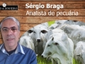 Tempo  & Dinheiro - Notícias da Pecuária, com Sérgio Braga