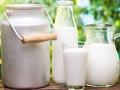 Leite destaque Video