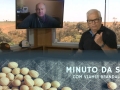 Tempo  & Dinheiro - Minuto da Soja, com Vlamir Brandalizze