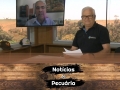 Tempo  & Dinheiro - Notícias da Pecuária, com Sérgio Braga