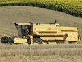 Colheitadeira - Destaque 2