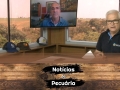 Tempo  & Dinheiro - Notícias da Pecuária, com Sérgio Braga