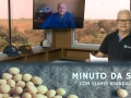 Tempo  & Dinheiro - Minuto da Soja, com Vlamir Brandalizze