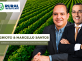 Elcio Ghioto & Marcello Santos - Empresário, Advogado e Contador & Advogado tributarista