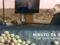 Tempo  & Dinheiro - Minuto da Soja, com Vlamir Brandalizze