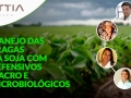 Confira a abertura do evento Manejo das pragas da soja com defensivos macro e microbiológicos