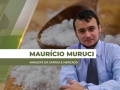 Maurício Muruci - Analista da Safras & Mercado