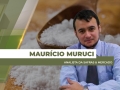 Maurício Muruci - Analista da Safras & Mercado