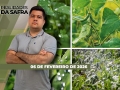 Realidades da Safra - Notícias Agrícolas