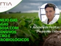 Confira a palestra de Adeney de Freitas Bueno