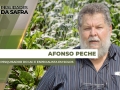 Afonso Peche - Pesquisador do IAC e Especialista em Solos
