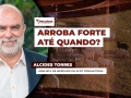 Alcides Torres - Analista de Mercado da Scot Consultoria