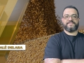 Alê Delara - Sócio Diretor da Pine Agronegócios