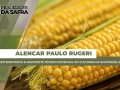 Alencar Paulo Rugeri - Extensionista e Assistente Técnico Estadual em Culturas da Emater/RS-A