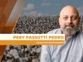Pery Passotti Pedro - Consultor Independente