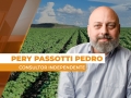 Pery Passotti Pedro - Consultor Independente