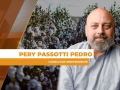 Pery Passotti Pedro - Consultor Independente