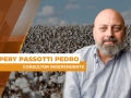 Pery Passotti Pedro - Consultor Independente