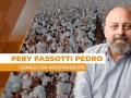 Pery Passotti Pedro - Consultor Independente