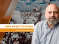 Pery Passotti Pedro - Consultor Independente