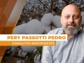 Pery Passotti Pedro - Consultor Independente