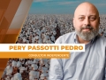 Pery Passotti Pedro - Consultor Independente