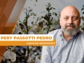 Pery Passotti Pedro - Consultor Independente