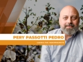 Pery Passotti Pedro - Consultor Independente