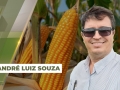 André Luiz Souza - Diretor Técnico da AgroLíder Consultoria Agronômica