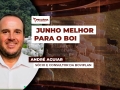 André Aguiar - Sócio e Consultor da Boviplan