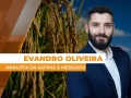 Evandro Oliveira - Analista da Safras & Mercado