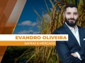 Evandro Oliveira - Analista de Mercado da Safras & Mercado