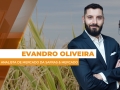 Evandro Oliveira - Analista de Mercado da Safras & Mercado