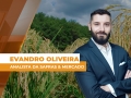Evandro Oliveira - Analista da Safras & Mercado