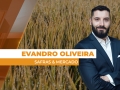 Evandro Oliveira - Analista de Mercado da Safras & Mercado
