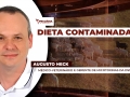 Augusto Heck - Médico-Veterinário e Gerente de Micotoxinas da dsm-firmenich