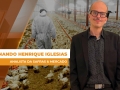 Fernando Henrique Iglesias - Analista da Safras & Mercado