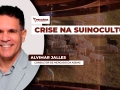Alvimar Jalles - Consultor de Mercado da ASEMG