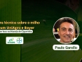 Paulo Garollo - Marketing Development Agronomist