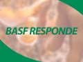 basf-responde-generico