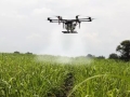 Drone realizando a aplicação de fungicida nas lavouras