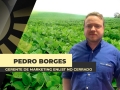 Pedro Borges - Gerente de Marketing Enlist no Cerrado
