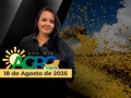 Bom Dia Agro - Com Carla Mendes