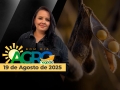 Bom Dia Agro - Com Carla Mendes