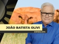 João Batista Olivi - Jornalista