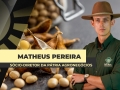 Matheus Pereira - Sócio-Diretor da Pátria Agronegócios