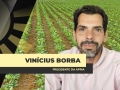 Dr. Vinícius Borba - Advogado