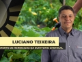 Luciano Teixeira - Gerente de Herbicidas da Sumitomo Chemical
